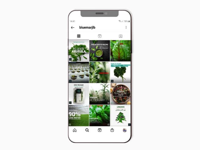 blue marj - We For Media France - Your Media Partner