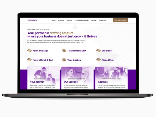 Strataria - We For Media - Your Media Partner