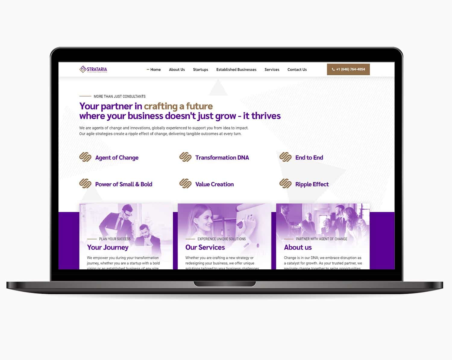 Strataria - We For Media - Your Media Partner